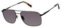 Ted Baker TMS175 Dark Gunmetal (DGN) Sunglasses - Color Image